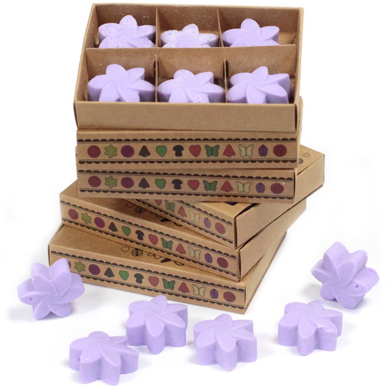 Doos met 6 Sojawas Melts - Lavendelveld