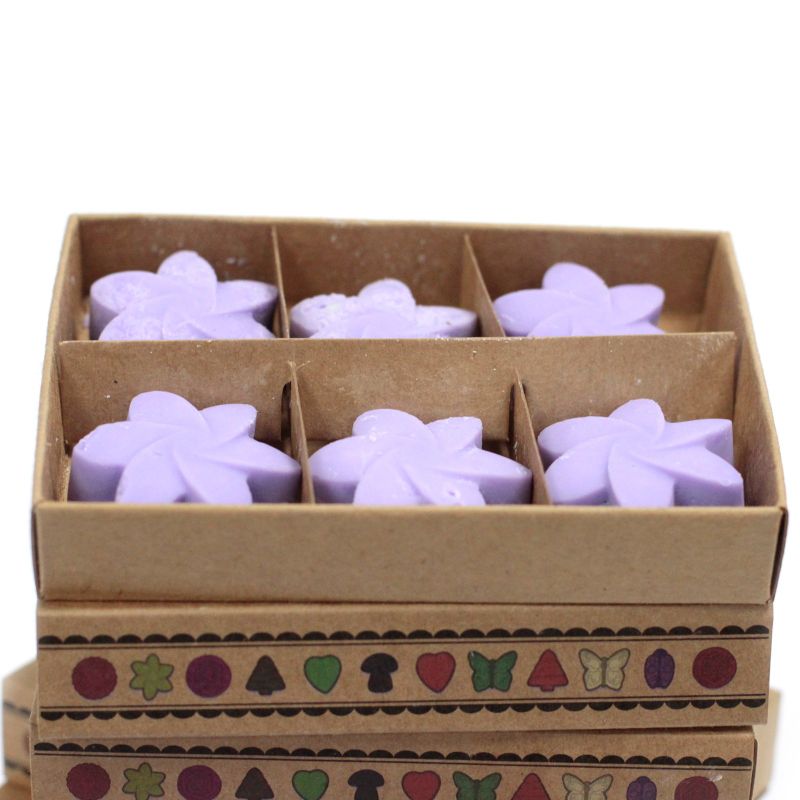 Doos met 6 Sojawas Melts - Lavendelveld