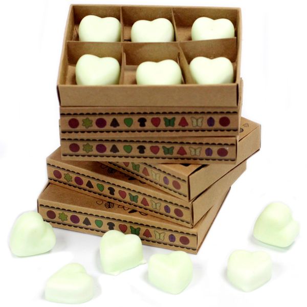 Doos met 6 Sojawas Melts - Kruidige Appel