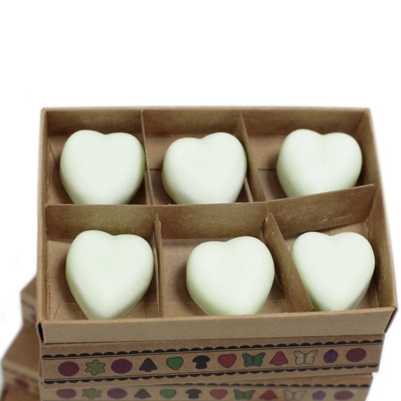 Doos met 6 Sojawas Melts - Kruidige Appel