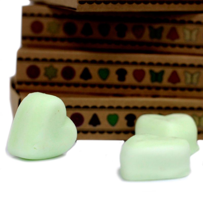 Doos met 6 Sojawas Melts - Kruidige Appel