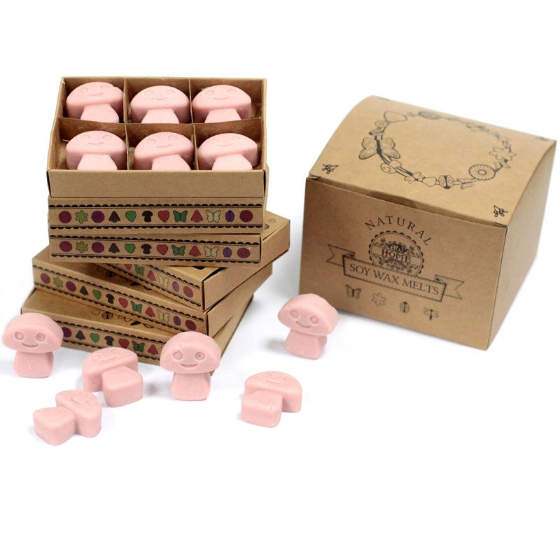 Doos met 6 Sojawas Melts - Koffie