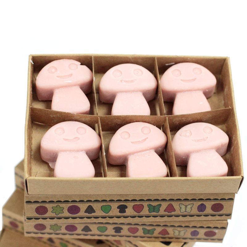 Doos met 6 Sojawas Melts - Koffie