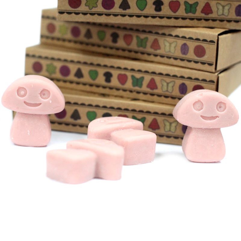 Doos met 6 Sojawas Melts - Koffie