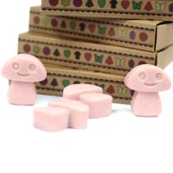 Doos met 6 Sojawas Melts - Koffie