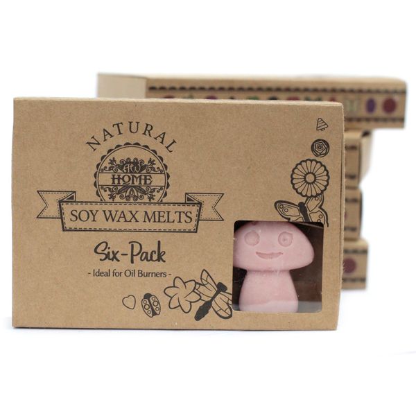 Doos met 6 Sojawas Melts - Koffie