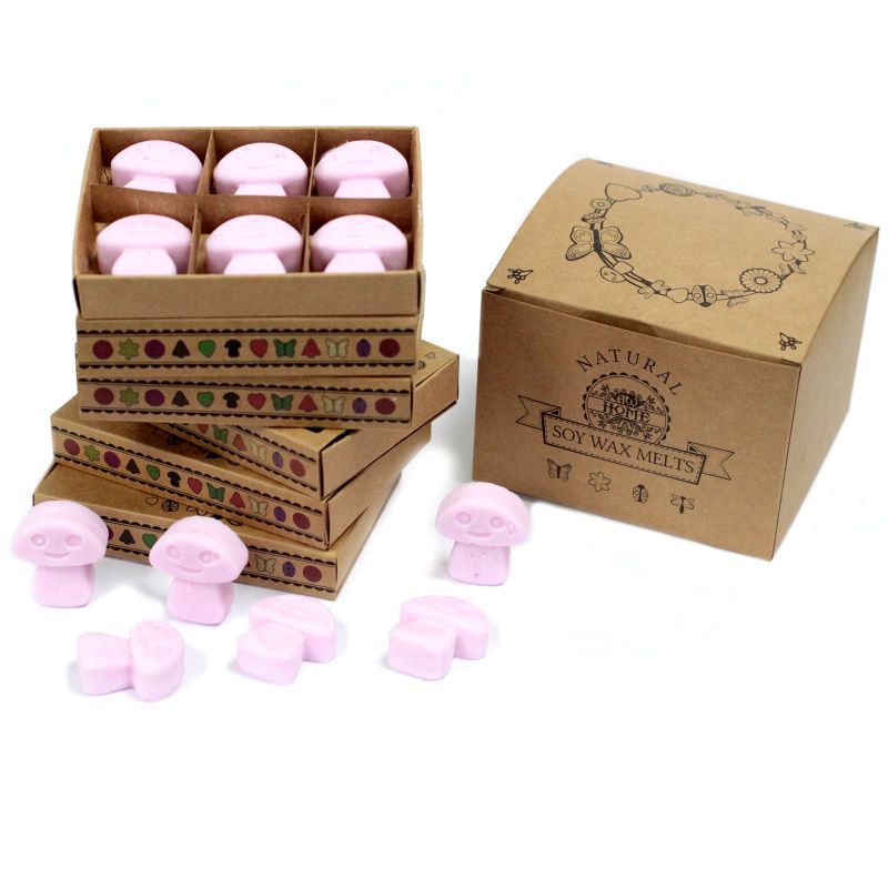 Doos met 6 Sojawas Melts - Ylang Ylang