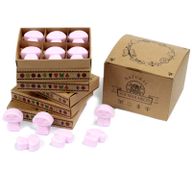 Doos met 6 Sojawas Melts - Ylang Ylang