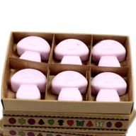 Doos met 6 Sojawas Melts - Ylang Ylang