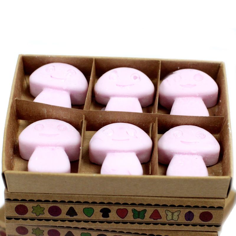 Doos met 6 Sojawas Melts - Ylang Ylang