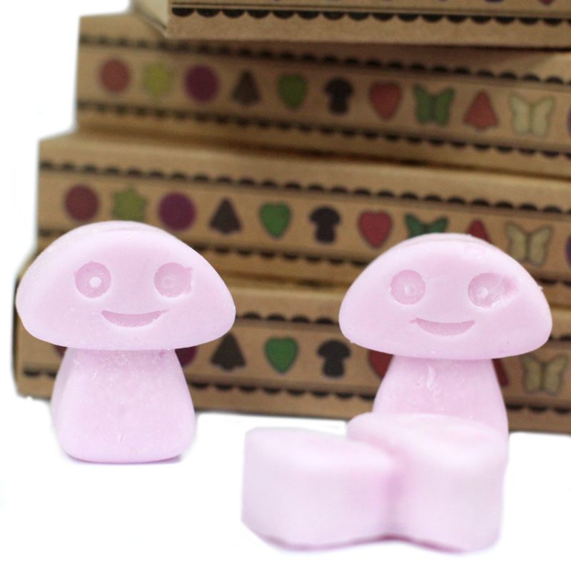 Doos met 6 Sojawas Melts - Ylang Ylang