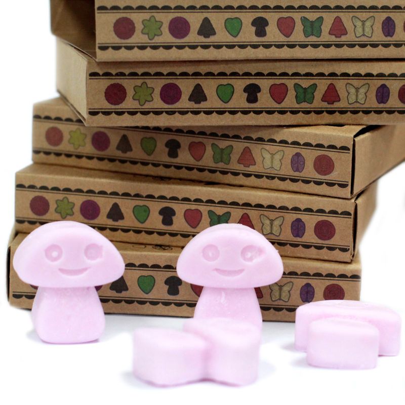 Doos met 6 Sojawas Melts - Ylang Ylang