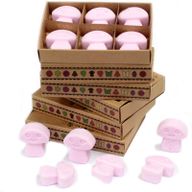 Doos met 6 Sojawas Melts - Ylang Ylang