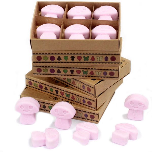 Doos met 6 Sojawas Melts - Ylang Ylang