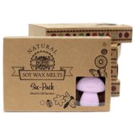 Doos met 6 Sojawas Melts - Ylang Ylang