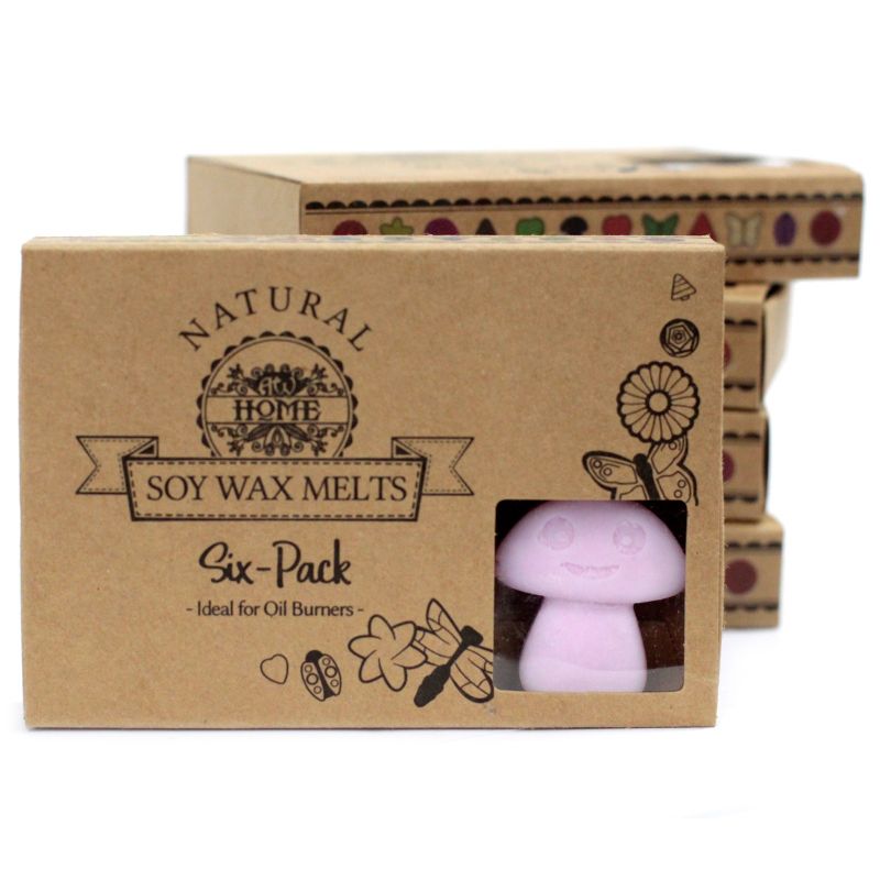 Doos met 6 Sojawas Melts - Ylang Ylang