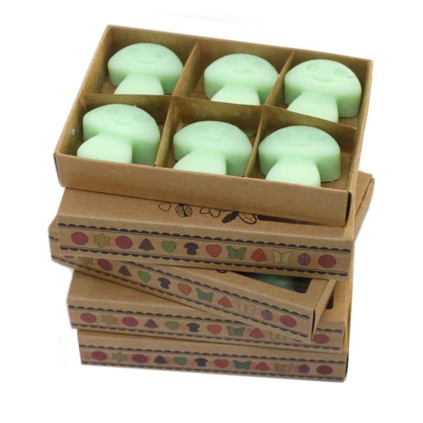 Doos met 6 Sojawas Melts - Zoethout