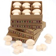 Doos met 6 Sojawas Melts - Vanille & Nootmuskaat