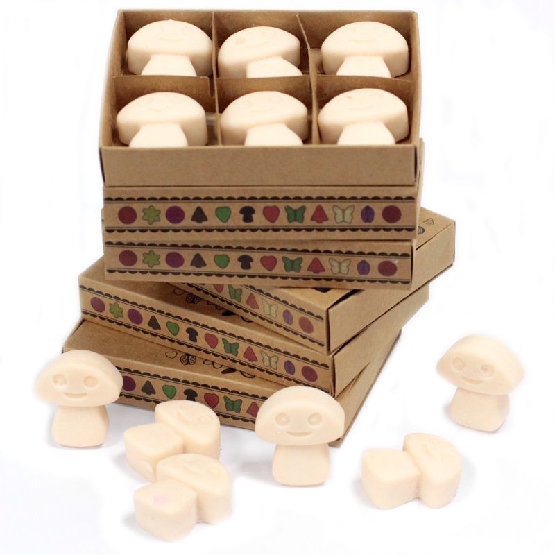 Doos met 6 Sojawas Melts - Vanille & Nootmuskaat