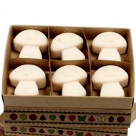 Doos met 6 Sojawas Melts - Vanille & Nootmuskaat