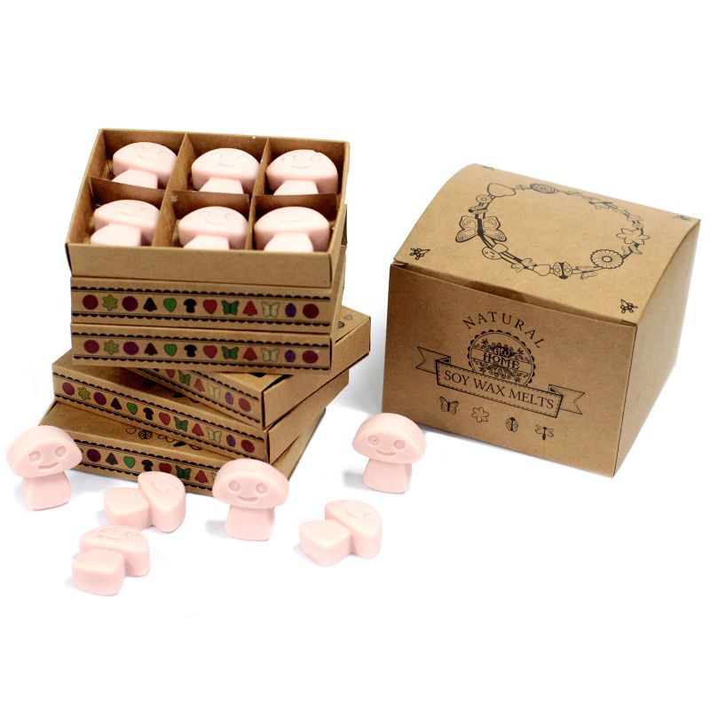 Doos met 6 Sojawas Melts - Gember