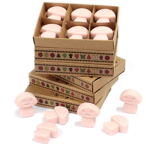 Doos met 6 Sojawas Melts - Gember