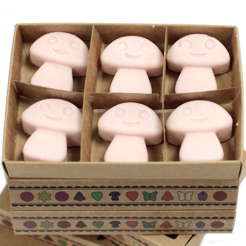 Doos met 6 Sojawas Melts - Gember