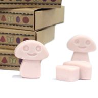 Doos met 6 Sojawas Melts - Gember