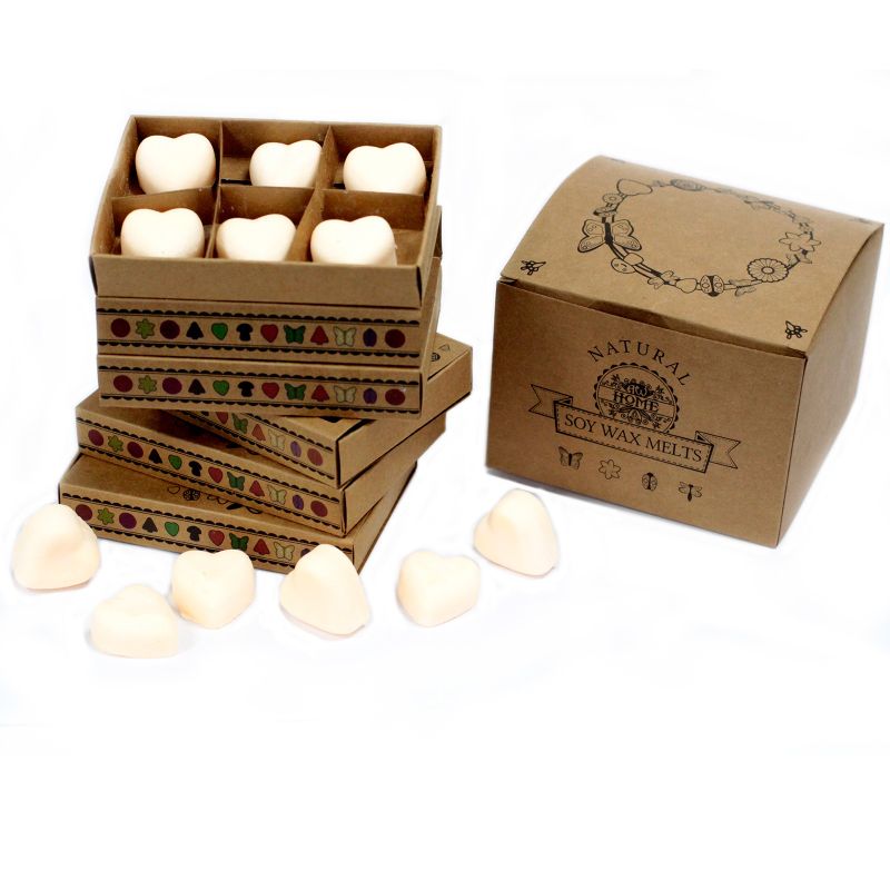 Doos met 6 Sojawas Melts - Kaneel & Sinaasappel