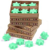 Doos met 6 Sojawas Melts - Verborgen Tuin