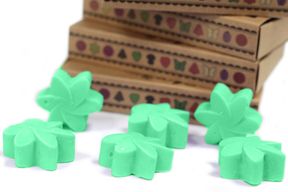 Doos met 6 Sojawas Melts - Verborgen Tuin