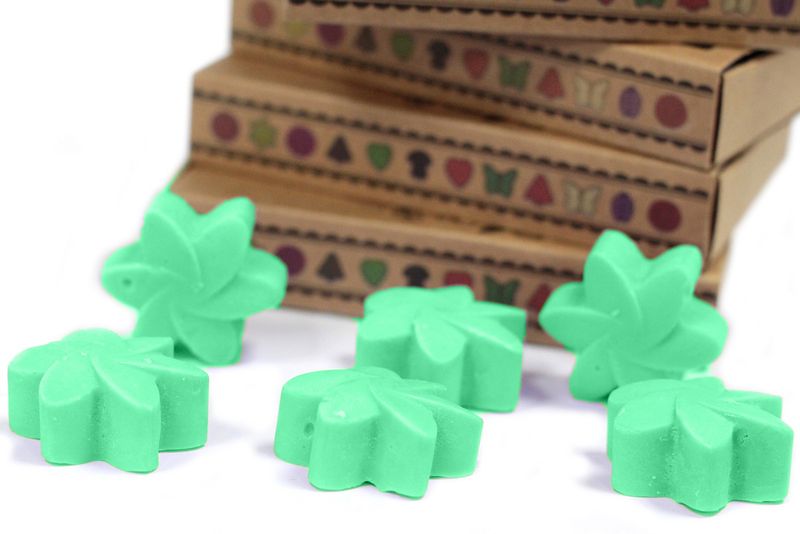 Doos met 6 Sojawas Melts - Verborgen Tuin