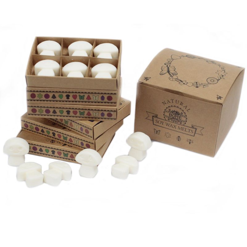 Doos met 6 Sojawas Melts - Kaneel & Sinaasappel