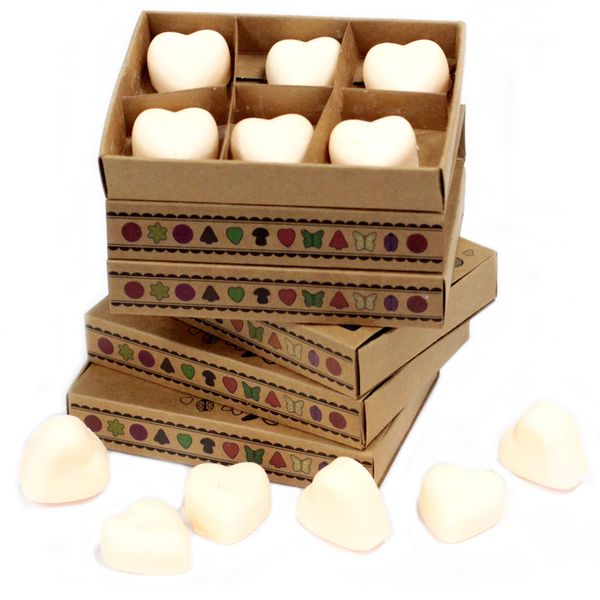 Doos met 6 Sojawas Melts - Kaneel & Sinaasappel