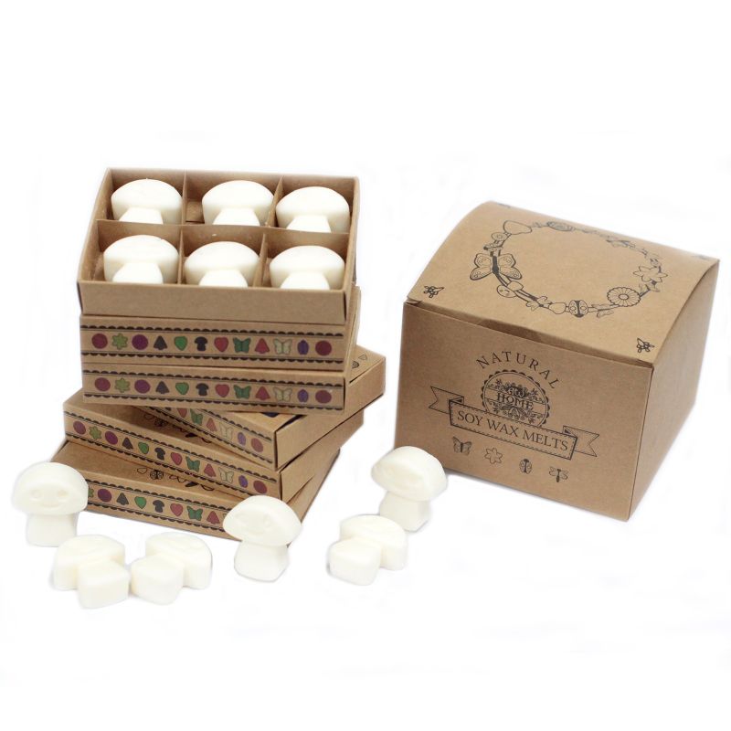 Doos met 6 Sojawas Melts - Witte Muskus