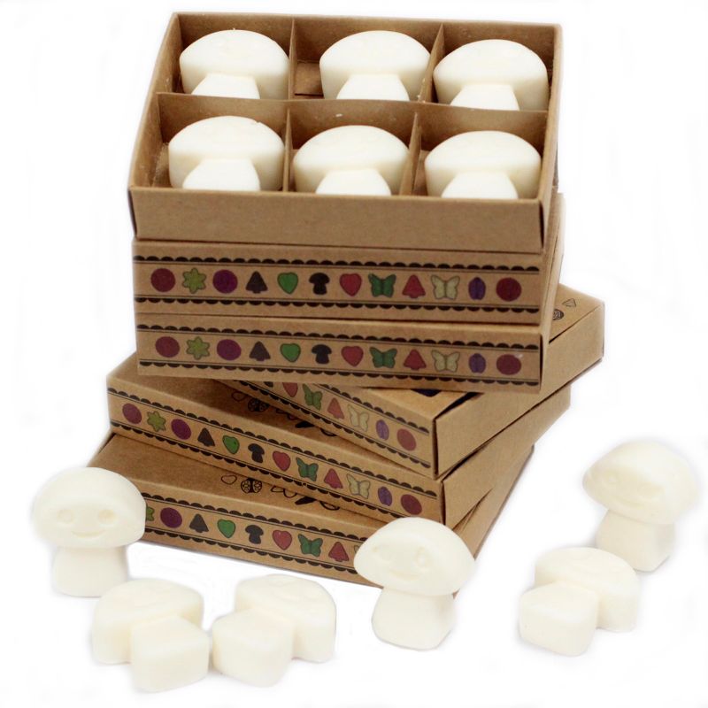 Doos met 6 Sojawas Melts - Witte Muskus