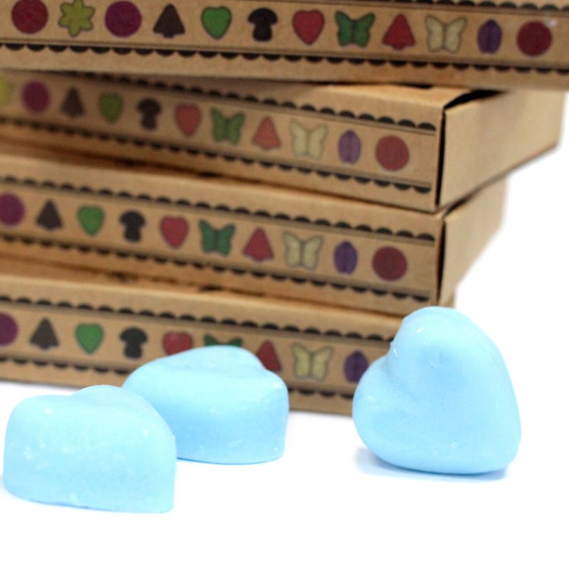 Doos met 6 Sojawas Melts - Dauwbraam