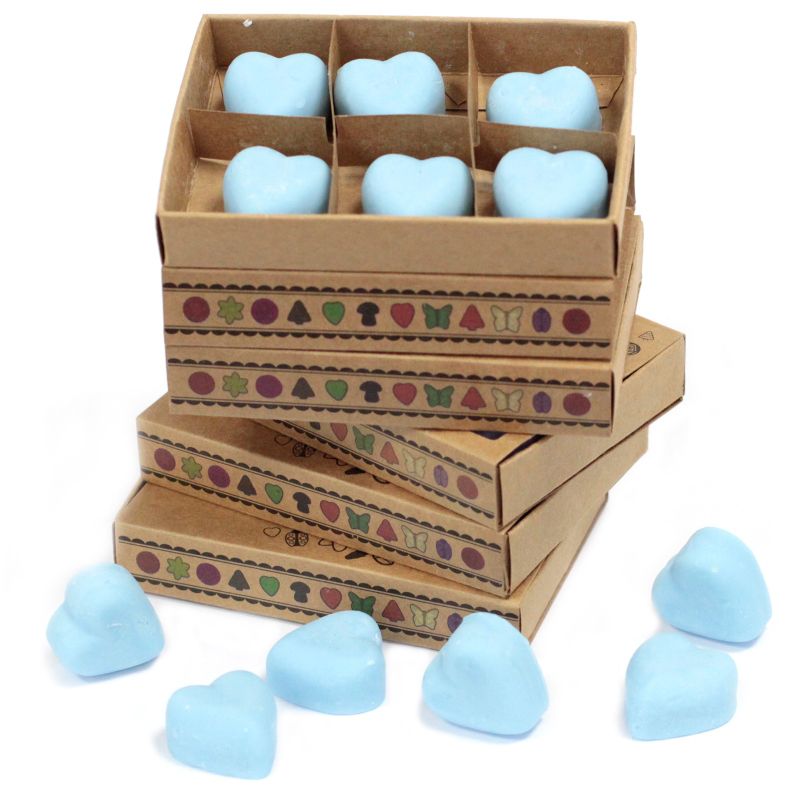 Doos met 6 Sojawas Melts - Dauwbraam