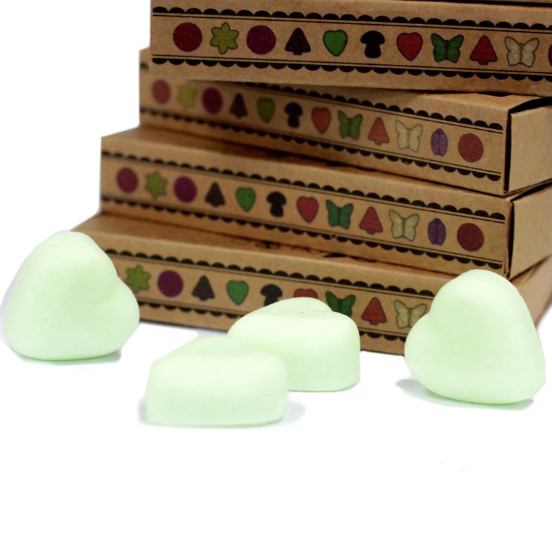 Doos met 6 Sojawas Melts - Verse Watermeloen