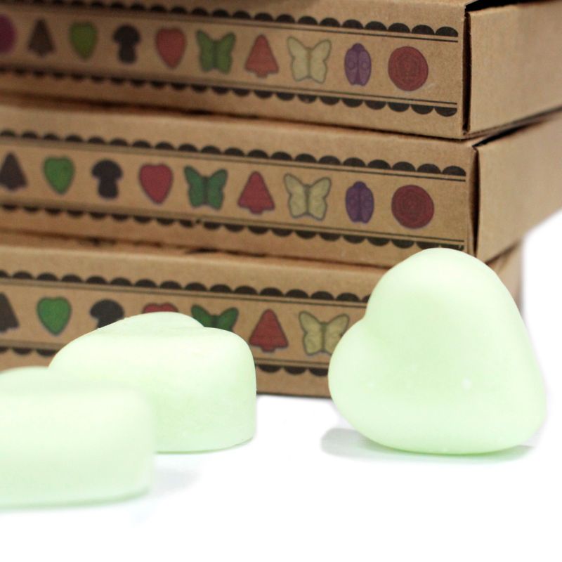 Doos met 6 Sojawas Melts - Verse Watermeloen