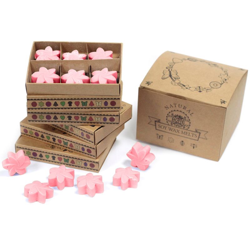 Doos met 6 Sojawas Melts -  Japanse Magnolia