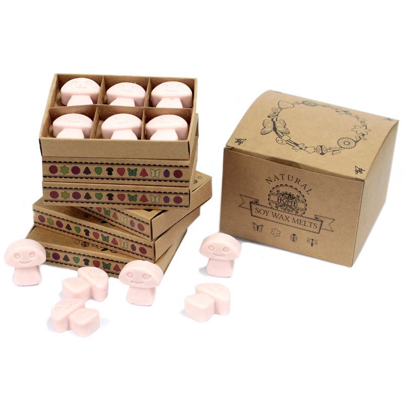 Doos met 6 Sojawas Melts - Donker Sandelhout