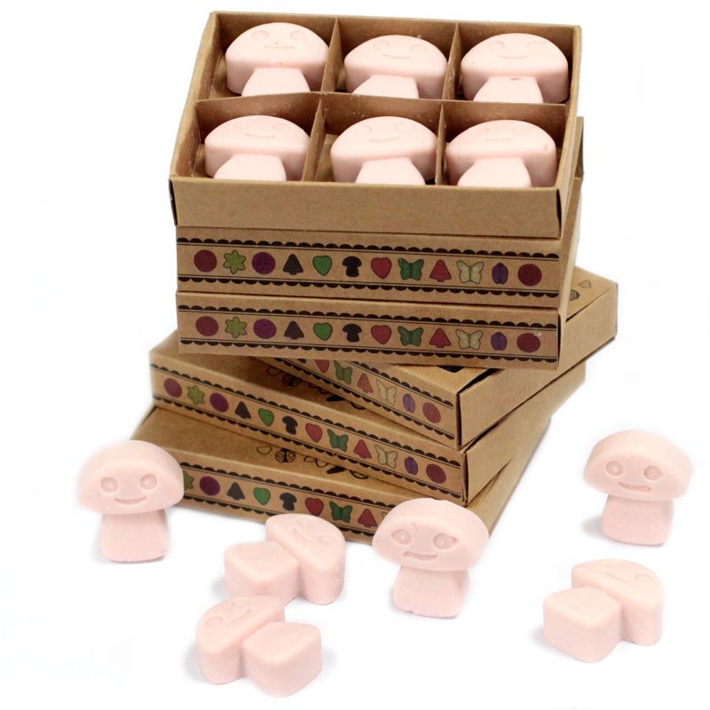 Doos met 6 Sojawas Melts - Donker Sandelhout