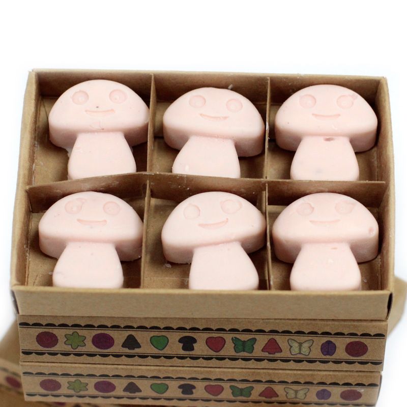 Doos met 6 Sojawas Melts - Donker Sandelhout