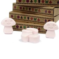 Doos met 6 Sojawas Melts - Donker Sandelhout