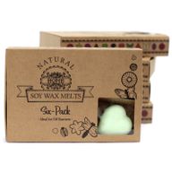 Doos met 6 Sojawas Melts - Munt en Menthol