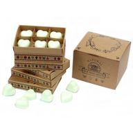 Doos met 6 Sojawas Melts - Munt en Menthol