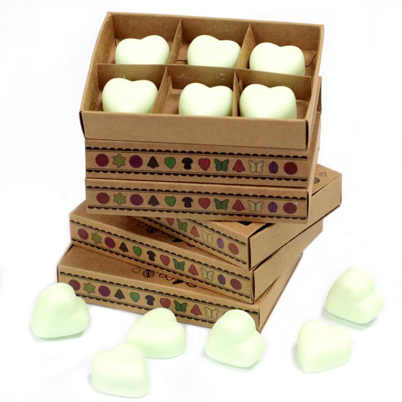 Doos met 6 Sojawas Melts - Munt en Menthol