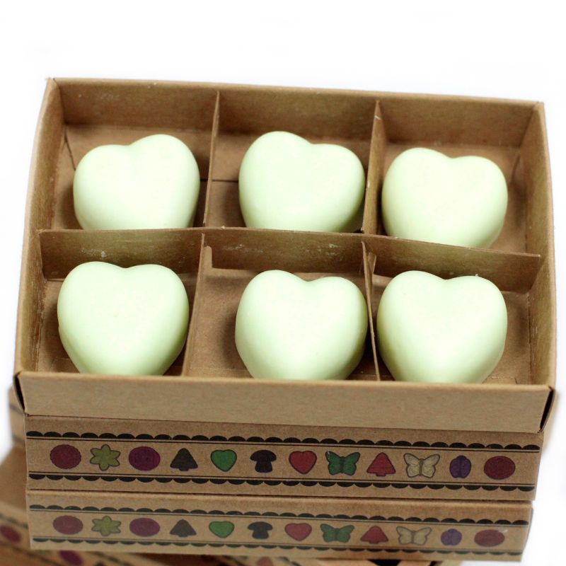 Doos met 6 Sojawas Melts - Munt en Menthol