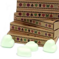 Doos met 6 Sojawas Melts - Munt en Menthol